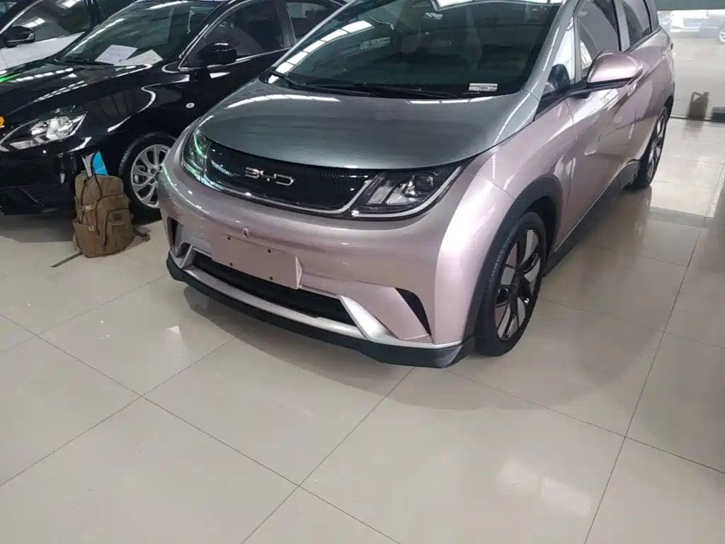 BYD Dolphin 2022 2021 401km Knight Edition