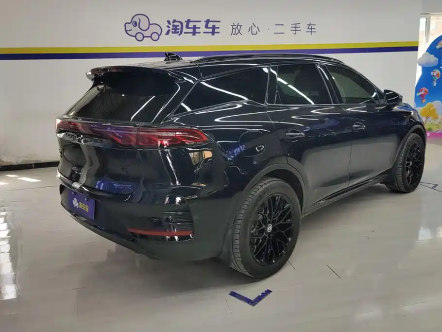 BYD Tang New Energy 2025 2025 DM-i 115KM Flagship