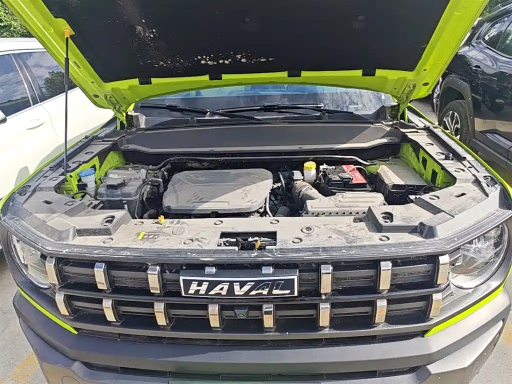 Haval Cool Dog 2022 1.5T DCT 4WD Adventure Edition фото 20