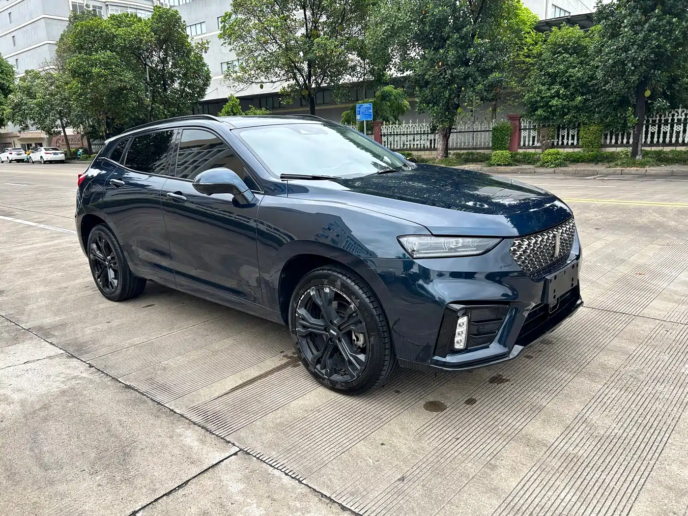 WEY VV7 2019 2020 Model 2.0T Flagship