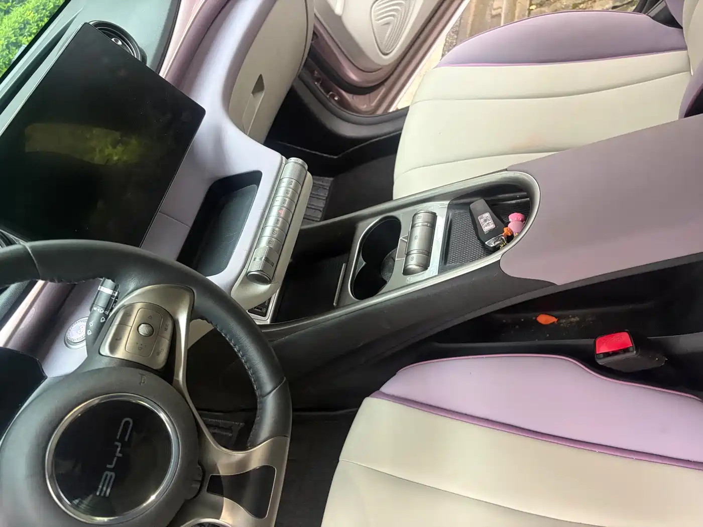 BYD Dolphin 2021 2021 Model 405km Fashion Edition