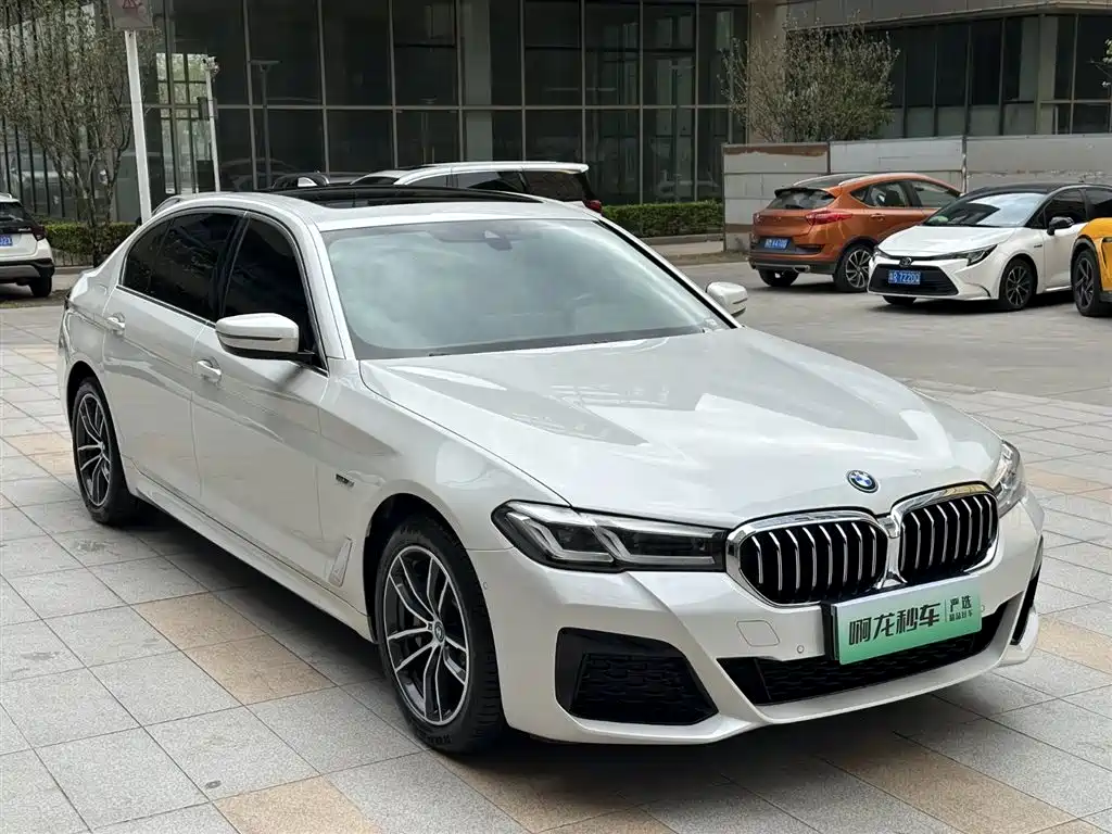 BMW 5 SERIES NEW ENERGY