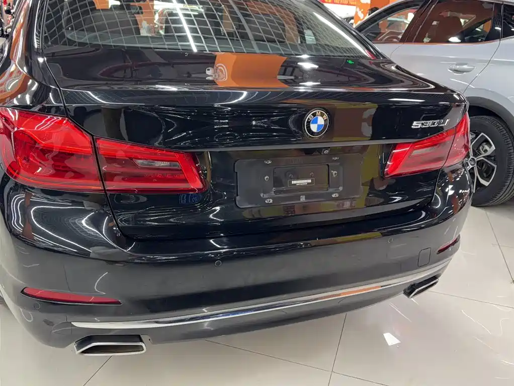 BMW 5 Series 2020 525Li Luxury Package фото 5