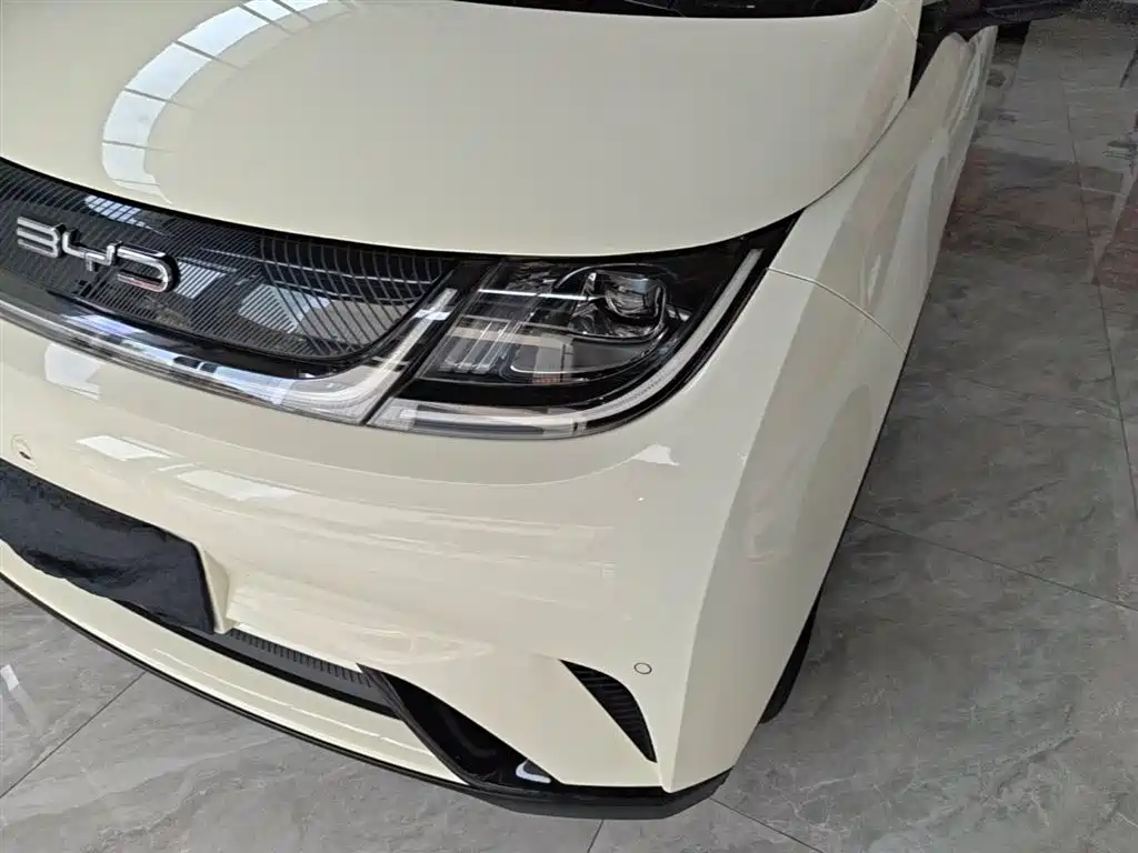 BYD Dolphin 2023 420km Fashion Edition фото 24