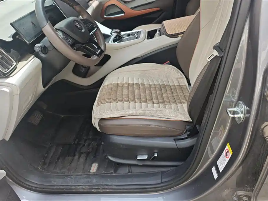 BYD Song Pro New Energy 2023 Champion Edition DM-i 110KM Excellence фото 9