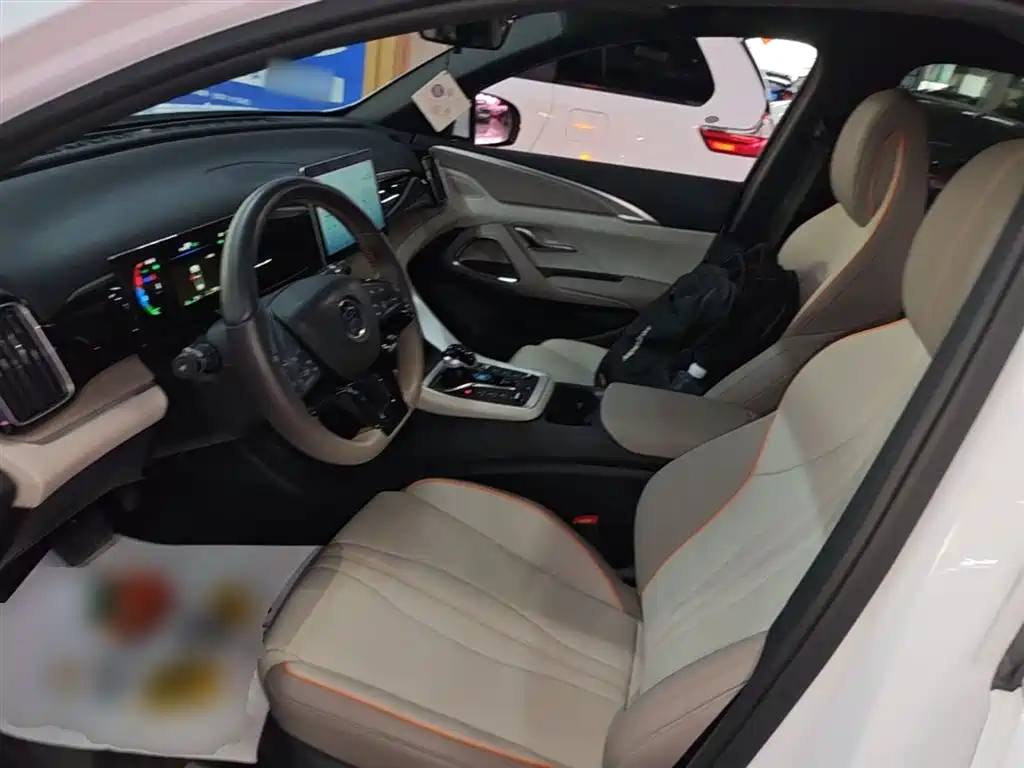 BYD Song Pro New Energy 2024 Glory Edition DM-i 71KM Pilot фото 15