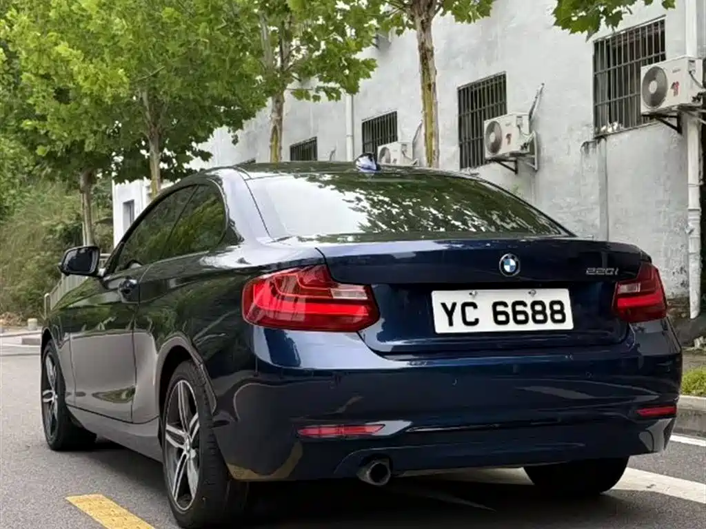 BMW 2 Series (Import) 2014 220i Leading фото 8