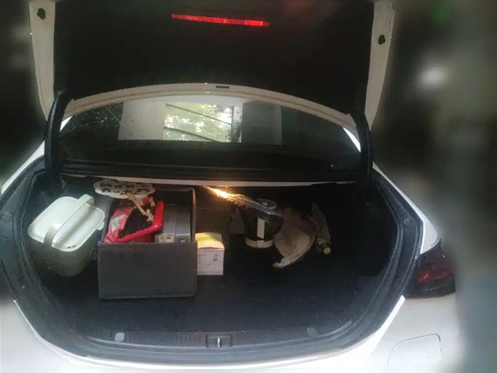 Mercedes-Benz E-Class New Energy 2022 Facelift II E 350 e L Plug-in Hybrid Sedan фото 20