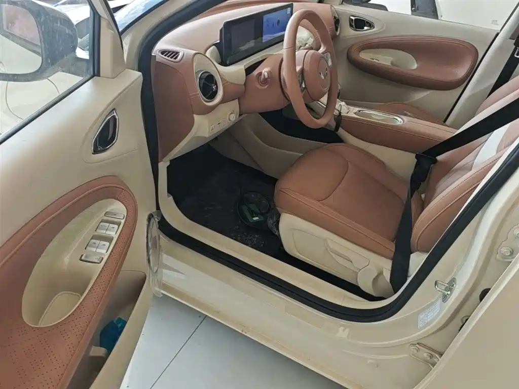 Wuling Motors Wuling Bingo 2026 2025 Model 333km Joy Edition