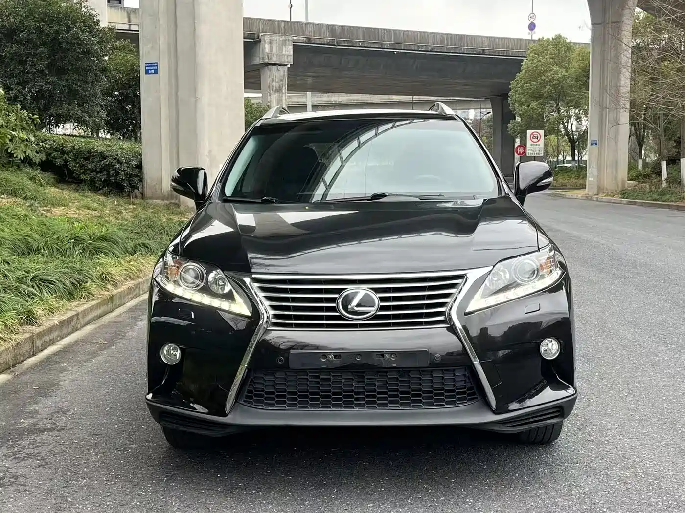 Lexus RX Classic 2013 270 Elite фото 2