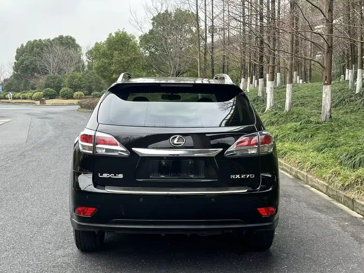 Lexus RX Classic 2013 270 Elite фото 6