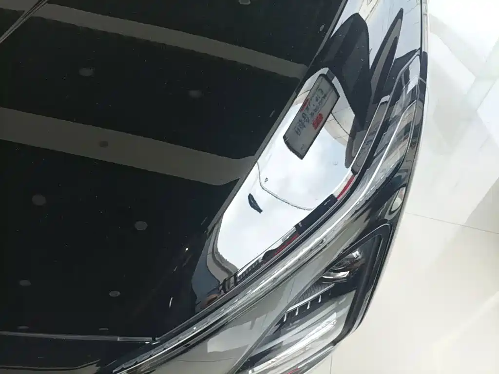 Wuling Motors Wuling Xingguang 2025 2025 Model 610km Smart Flagship