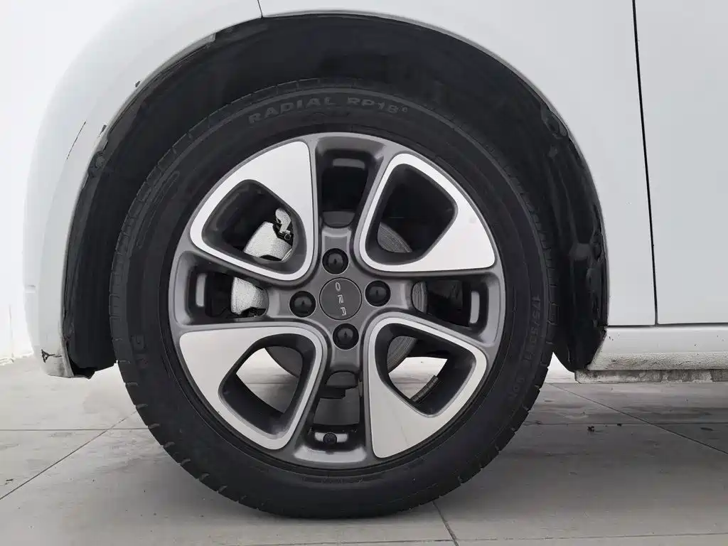 Ora White Cat 2021 2020 305km Luxury