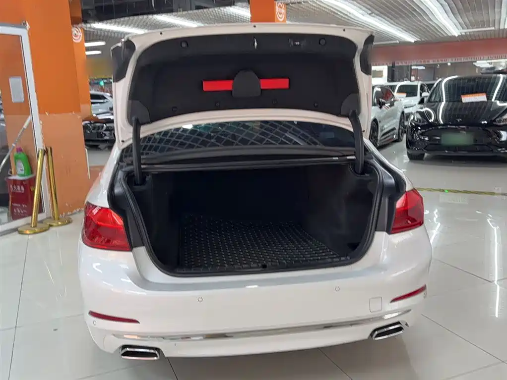 BMW 5 Series 2020 530Li Leading Luxury Package фото 5