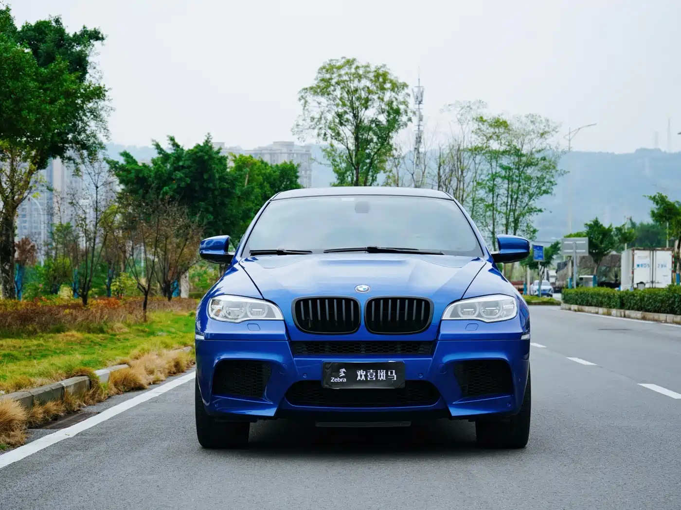 BMW X6 M 2010 X6 M фото 2