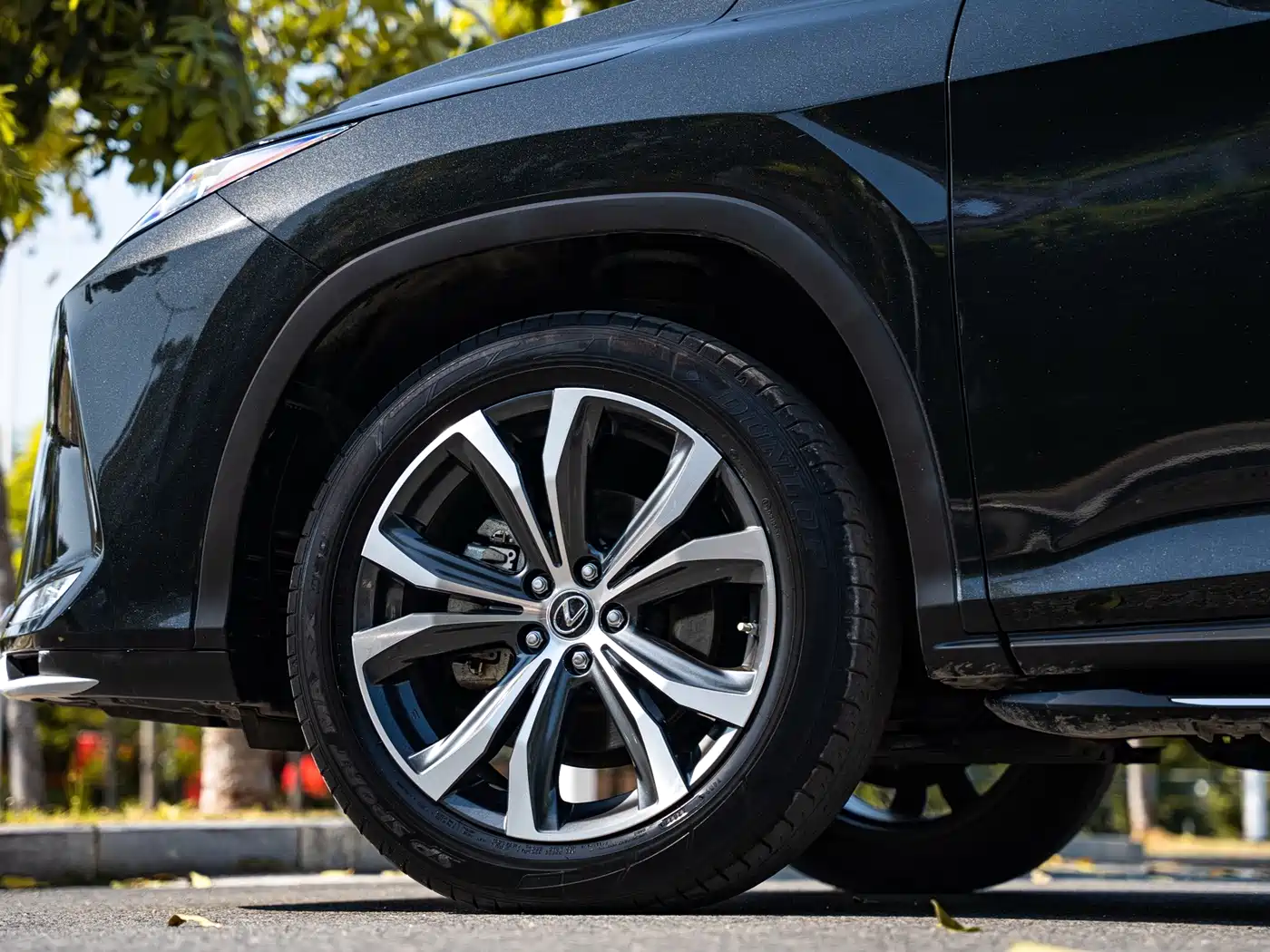 Photo 8 - Lexus RX