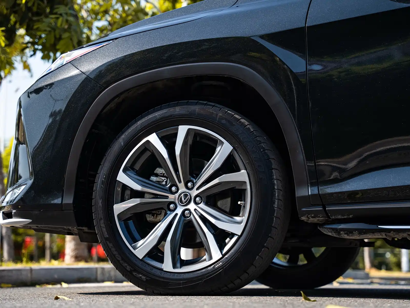 Фото 8 - Lexus RX