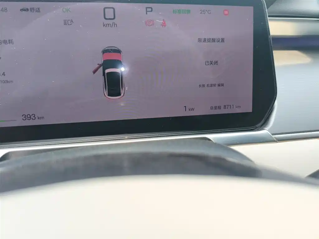 BYD Song L EV 2025 662km Excellence Smart Driving Model фото 8