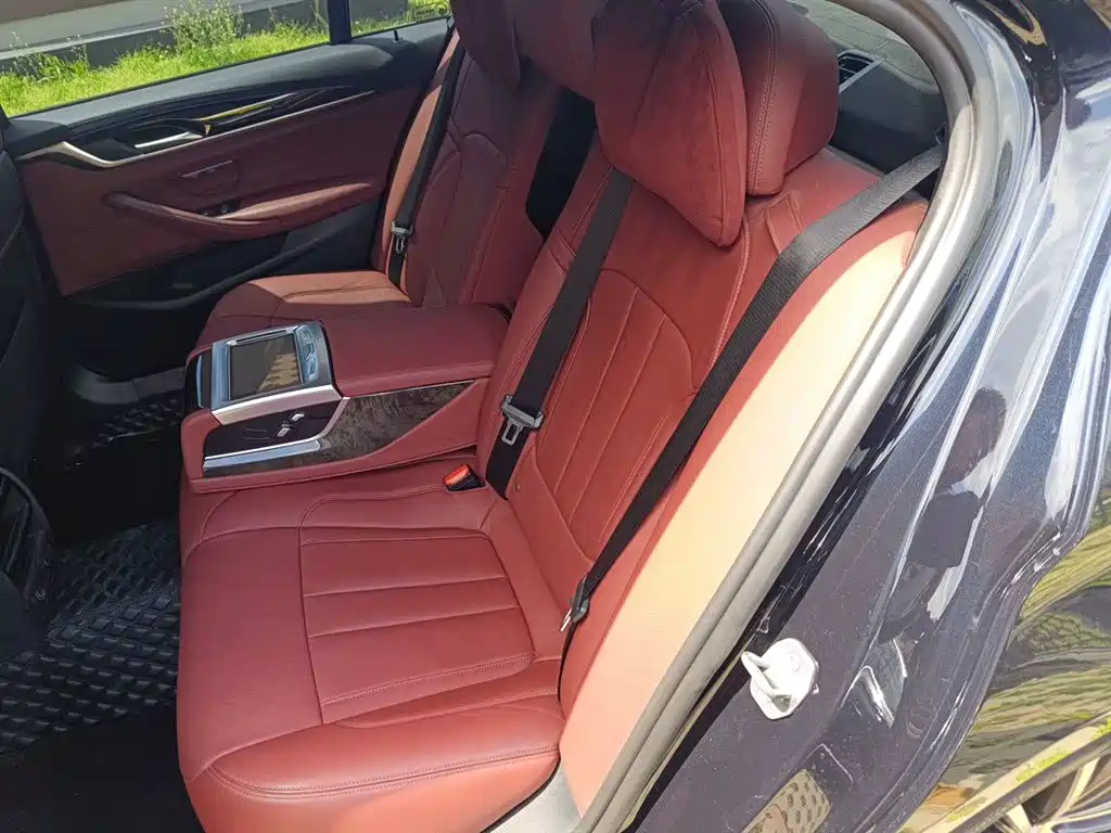 BMW 5 Series 2019 Facelift 530Li xDrive M Sport Package фото 13
