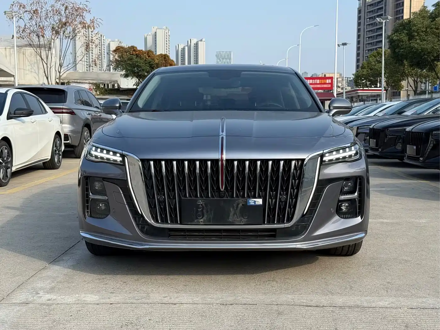 Hongqi H5 2023 1.5T DCT Smart Connect Flag Rhythm фото 2