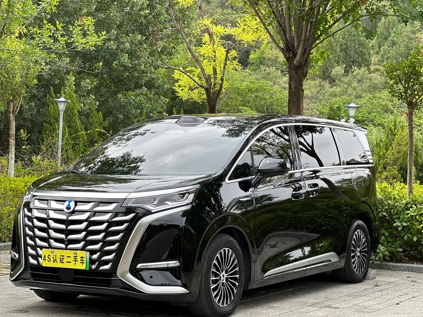 Denza D9 2025 2025 DM-i Smart Drive Edition 1020 AWD Premium