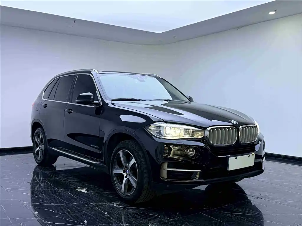 BMW X5 New Energy(Imported) 2016 xDrive40e фото 3