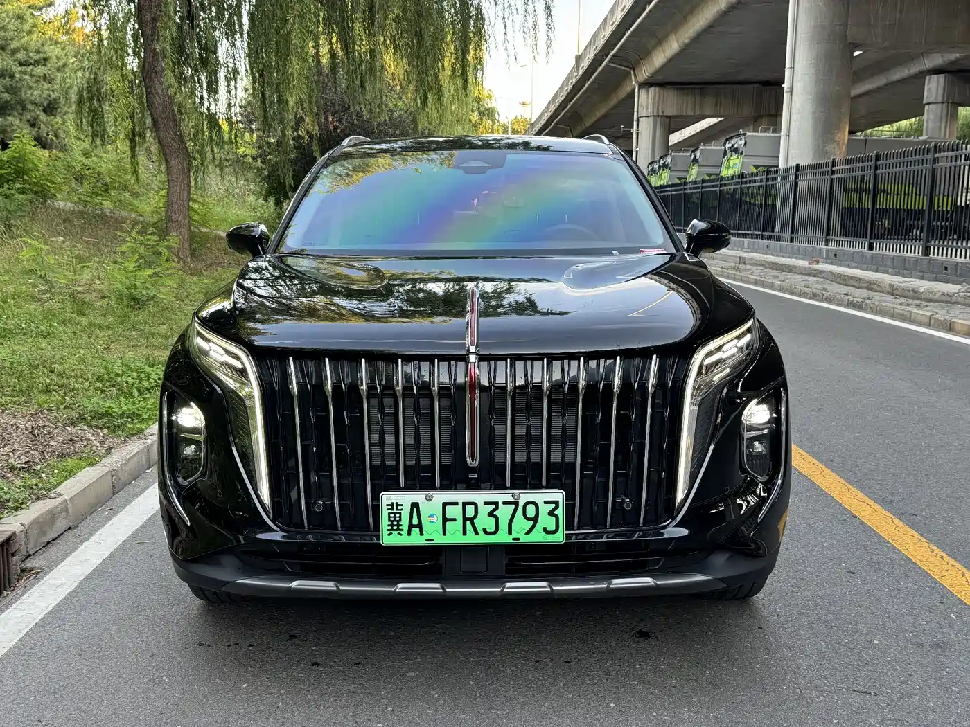 Hongqi HS7 PHEV 2025 Revised Model 2.0T PHEV 4WD 2 Million Units Commemorative Edition 7-Seater фото 2