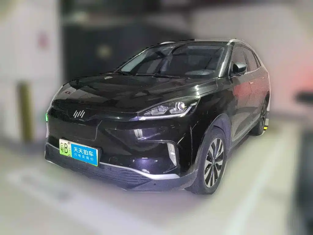 Weltmeister EX5 2019 2018 EX5 400 Extra Innovation Edition