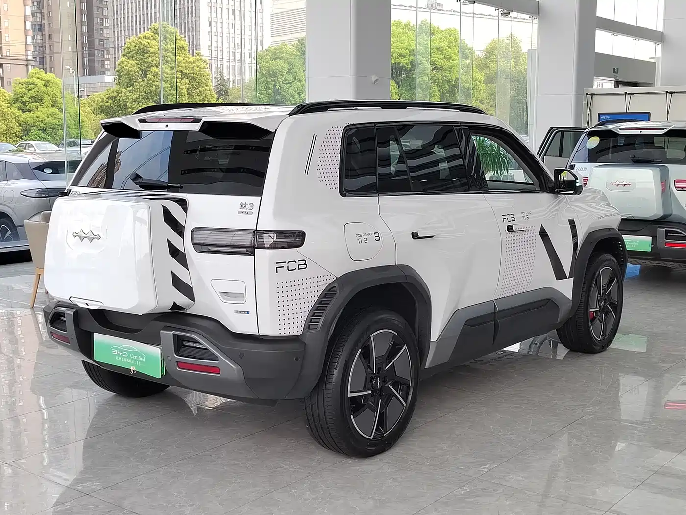 FANG CHENG BAO TITANIUM 3