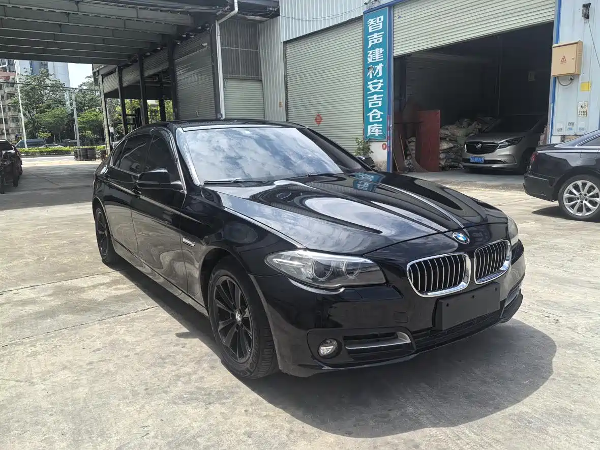 BMW 5 Series 2014 520Li Elegance фото 3