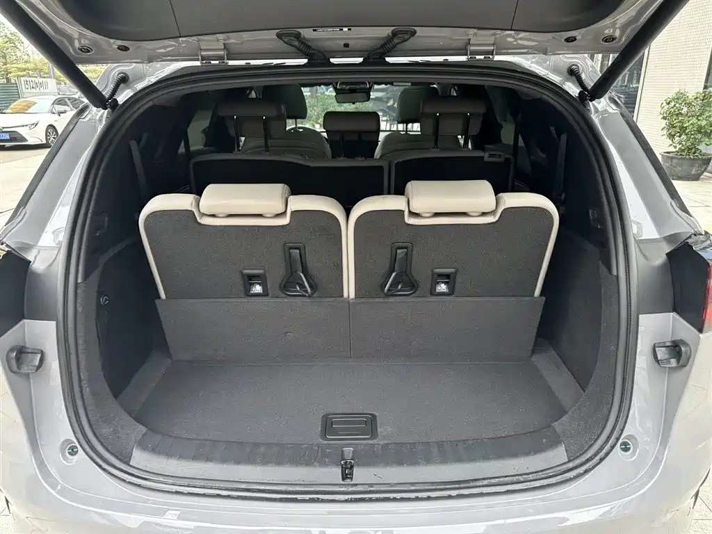 BYD Tang New Energy 2025 DM-i 115KM Prestige Type фото 19