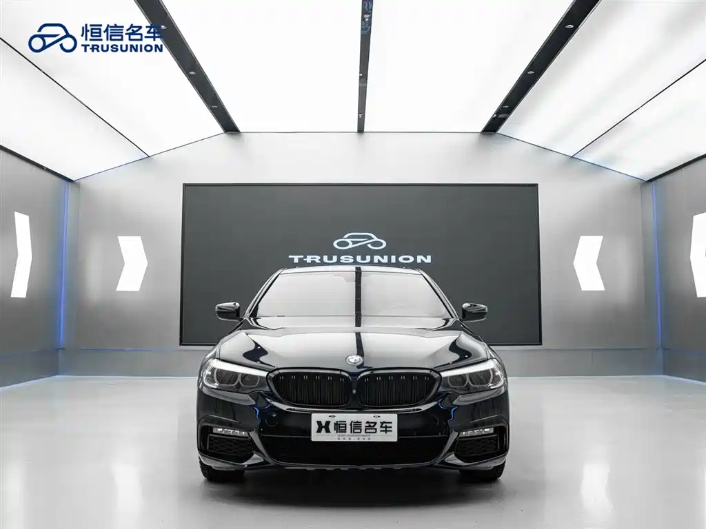 BMW 5 Series 2019 530Li xDrive M Sport Package фото 2