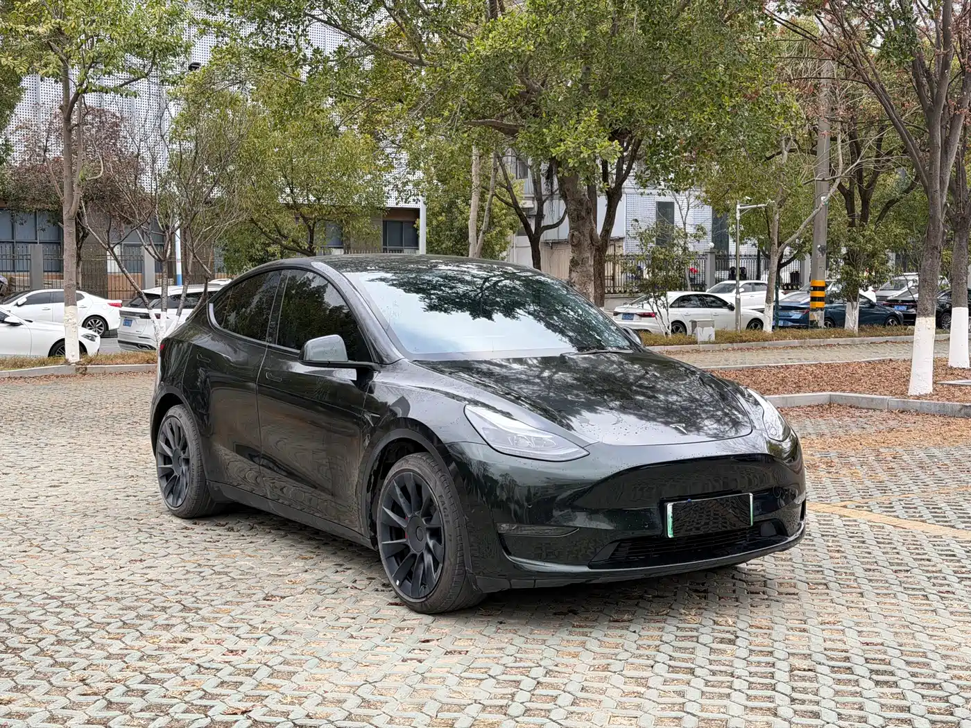 TESLA MODEL Y