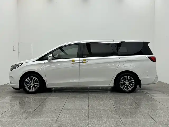 Buick GL8 2022 ES Landmark 653T Premium фото 8