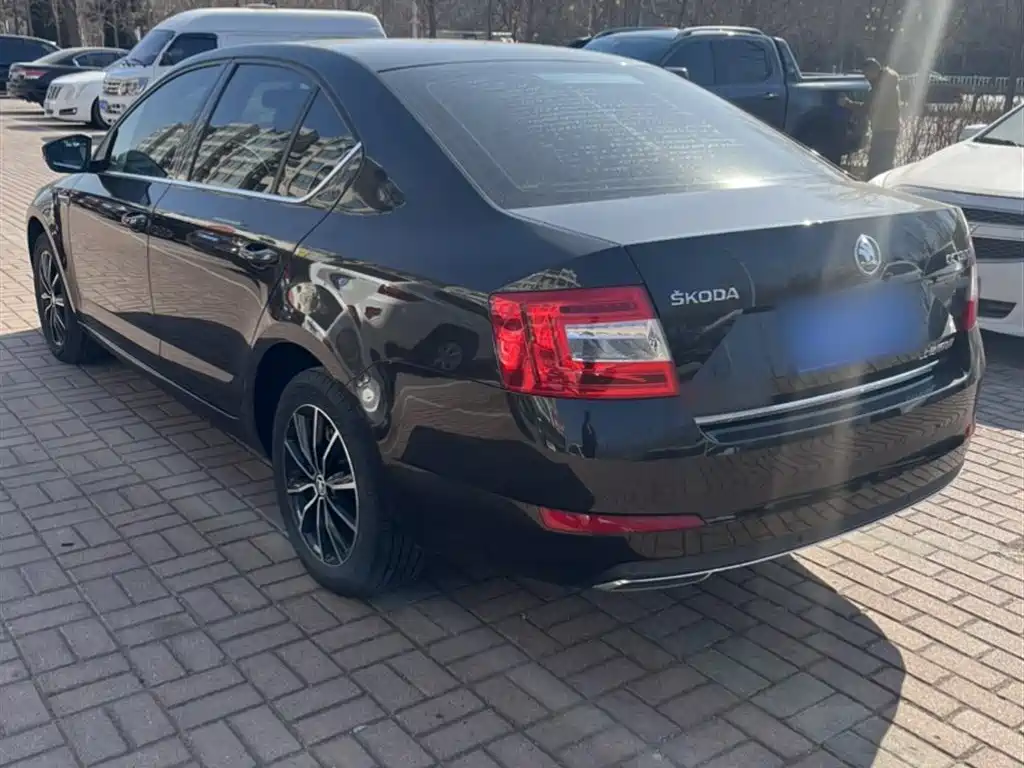 Škoda Octavia 2017 TSI280 DSG ZhiXing фото 6