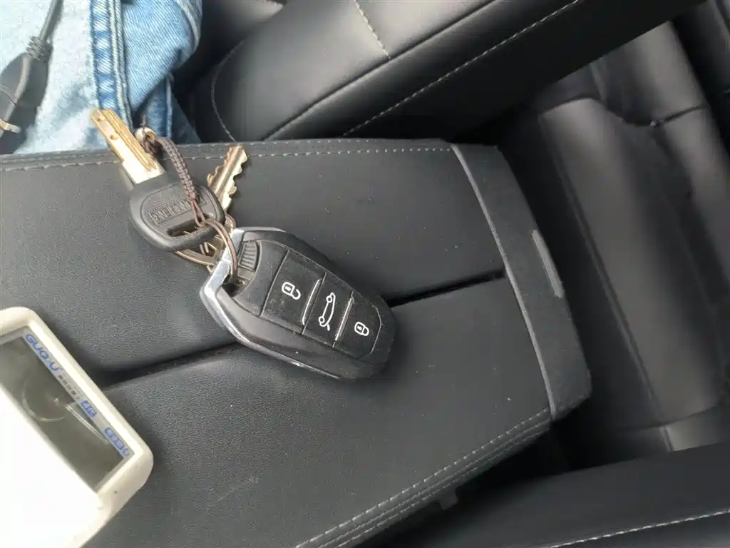 CITROEN VERSAILLES C5 X