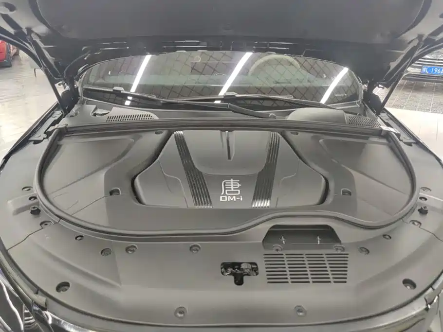 BYD Tang New Energy 2025 2025 DM-i 115KM Flagship