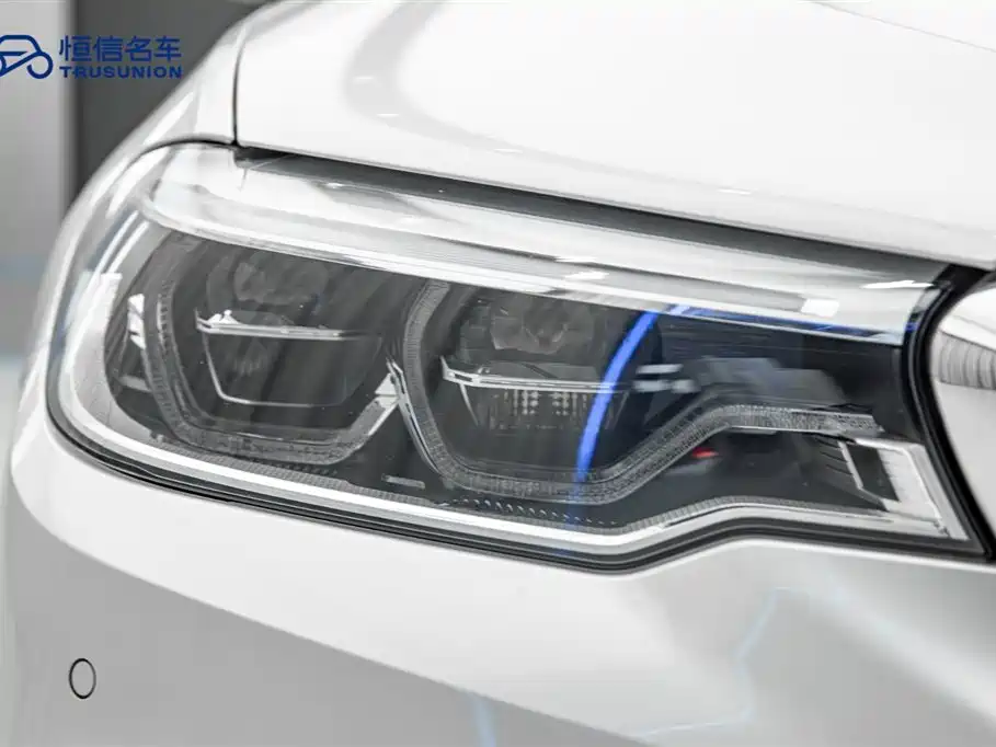 BMW 5 Series 2020 530Li Leading M Sport Package фото 10
