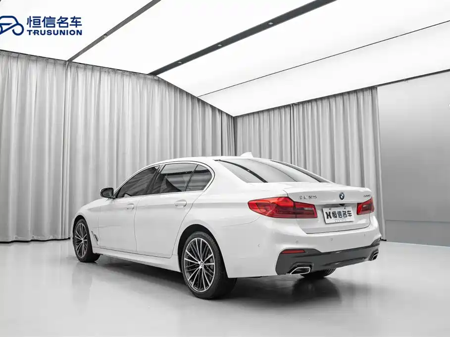 BMW 5 Series 2020 530Li Leading M Sport Package фото 7