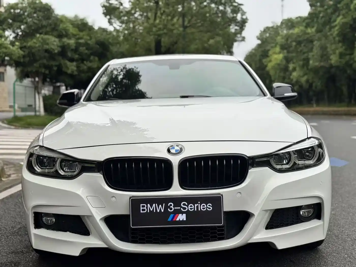 BMW 3 Series 2019 320Li M Sport Black Night Edition фото 2