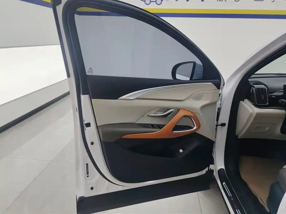 BYD Song Pro New Energy 2022 DM-i 110km Flagship Pro фото 7