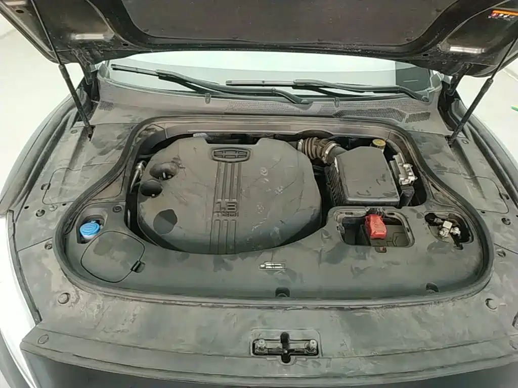 Фото 20 - Geely Borui