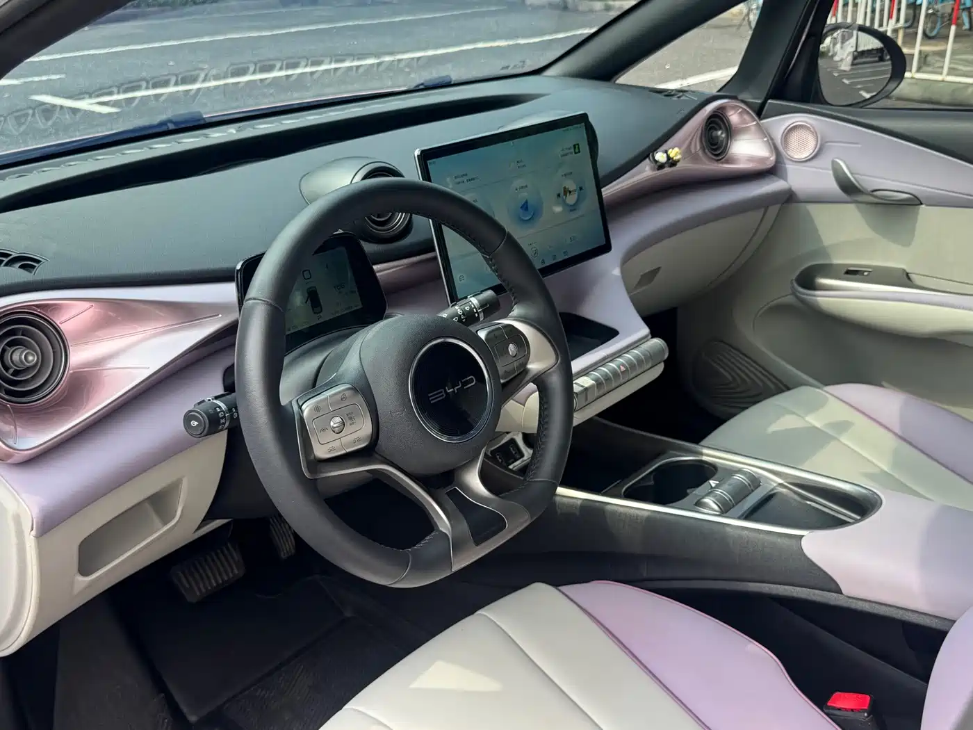 BYD Dolphin 2022 2021 401km Knight Edition