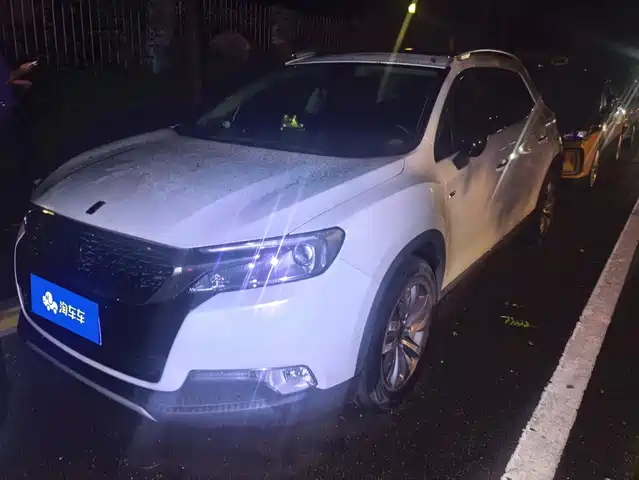 DS DS 6 2016 1.6T Luxury THP160