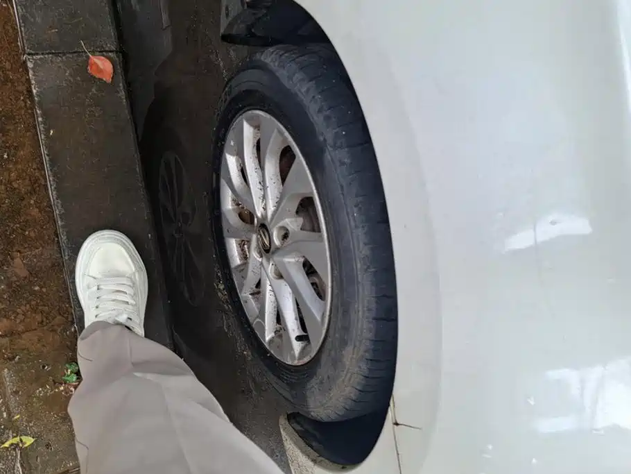 Фото 6 - Nissan Sylphy