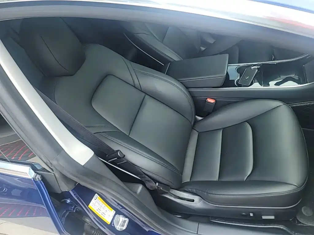 Tesla Model 3 2020 2020 Standard Range Rear-Wheel Drive Upgrade