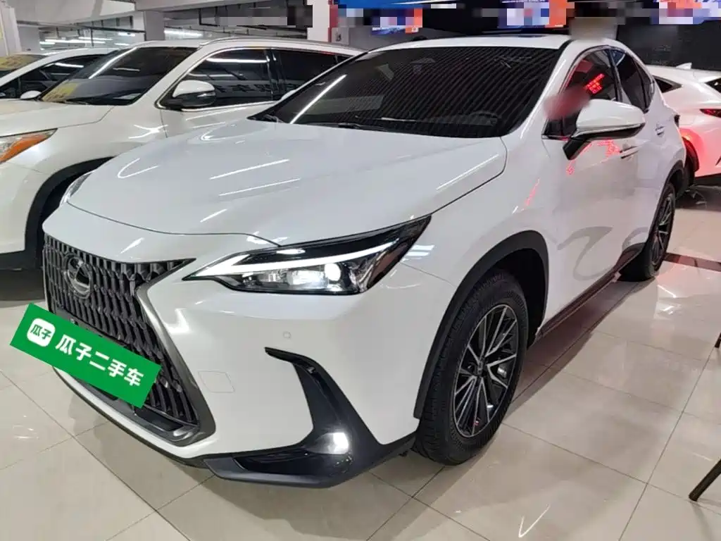 Фото 1 - Lexus NX