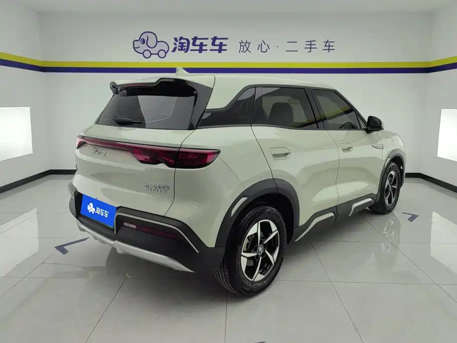 BYD Yuan UP 2024 2024 401KM Leading Edition