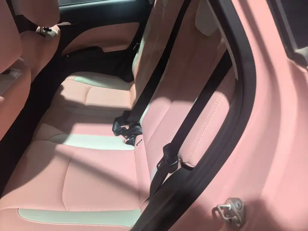 Nezha Auto Nezha V 2023 2022 Trend 400 Lite Pink Custom Edition