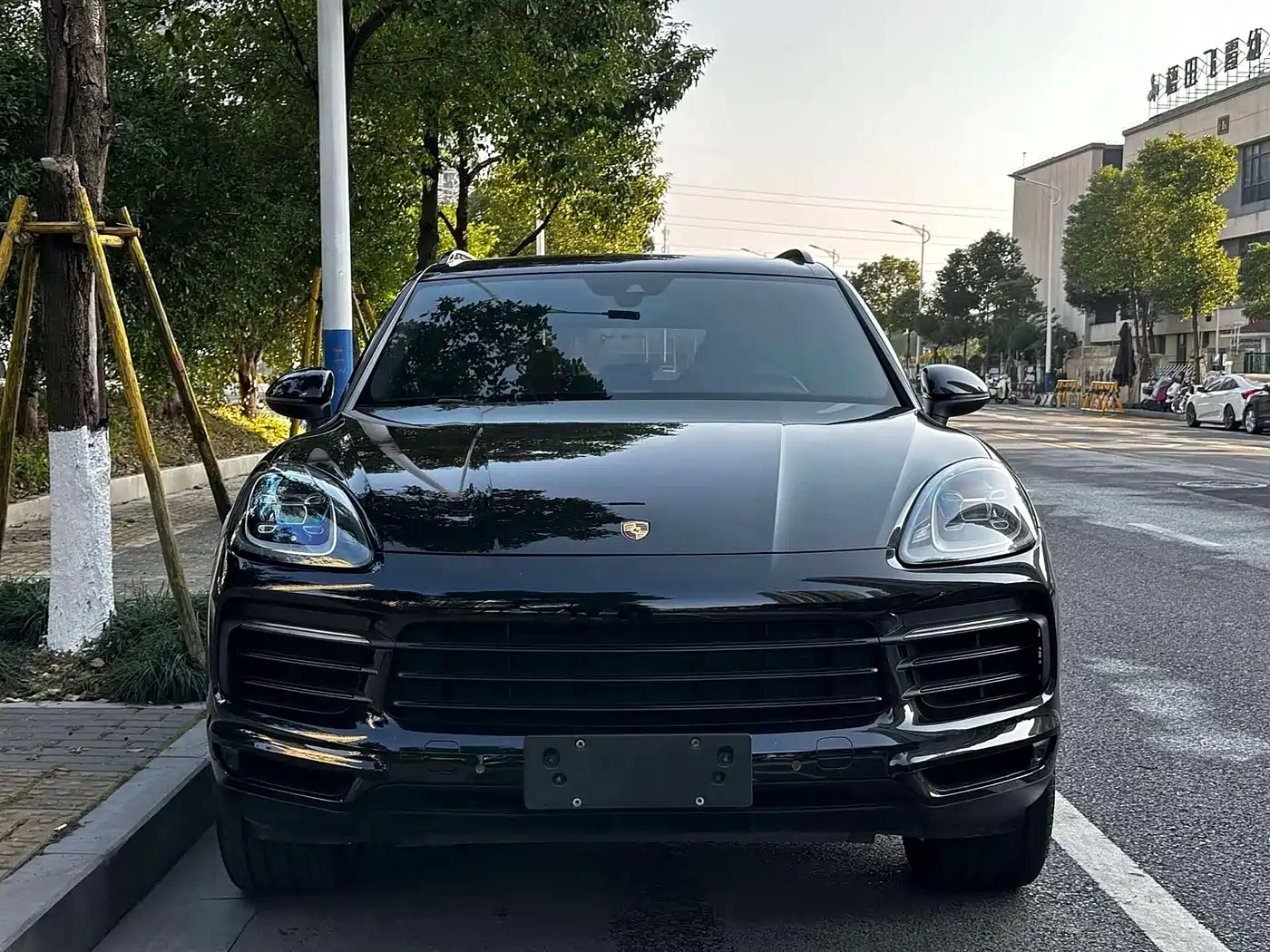 Porsche Cayenne 2018 Cayenne 3.0T фото 2